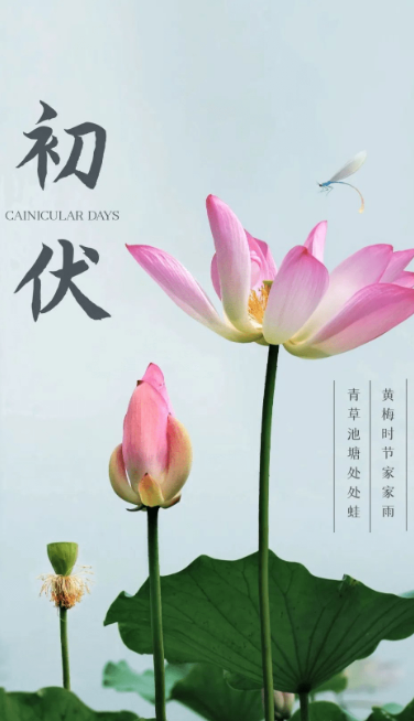 熱、熱、熱！入伏中……
